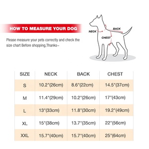 Traje De Coelho De Estimação Com Capuz Gato Quente Aconchegante Bonito Camisola Coral Do Velo - Product Image 6