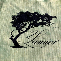 T-shirt personnalisé en coton gaufré à manches longues, logo vieilli, délavé à l'acide, coupe oversize et carrée, thermique