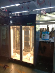 Chambre de vieillissement à sec de séchage de la viande <span class=keywords><strong>Armoire</strong></span> de vieillissement à sec de haute qualité commerciale - Product Image 5