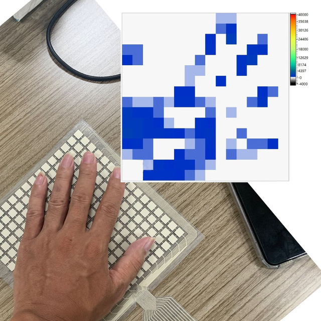 16x16 Piezoresistive Flexible Film Pressure Sensor Array Distributed Cushion Force Sensitive Tactile Sensing FSR