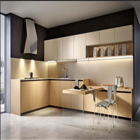 Meubles de cuisine de luxe, style laqué contemporain, solutions de rangement pour villas
