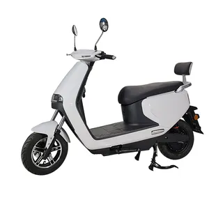 winner sky electric scooter electrical motociclet
