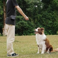 Sac de taille en silicone léger et durable pour friandises pour animaux, fermeture magnétique, idéal pour l'entraînement des chiens – Vente chaude