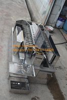 Machine à griller électrique pour brochettes de poulet, satay, barbecue / Machine à griller automatique Yakitori
