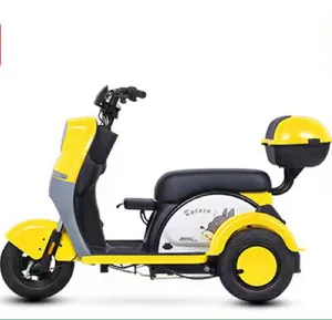 2024 The manufacture cheap electric tricycle for 2 people electric tricycle for old people