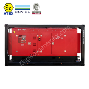 Cung cấp 300kva 400V 50Hz 3 pha 4 dây động cơ diesel EX-Proof ATEX khu vực 2 đánh giá dnv Máy phát điện ngoài khơi - Product Image 2