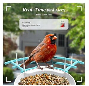 Comedero Inteligente para Pájaros con Carga Solar Rápida, Casa para Pájaros para Exteriores, Reconocimiento Preciso de Aves por IA, Visualización de Video en Vivo, Notificaciones - Product Image 5