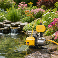 Pompe à eau portable 800W avec moniteur de pression électronique, débit de 3200L/h, hauteur de refoulement de 40m pour l'arrosage des serres