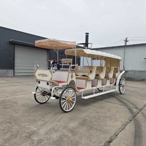 Carroza de Boda Personalizada de Alta Configuración, Carroza Blanca de 14 Plazas para Turismo, Carroza Eléctrica con Caballos en Venta - Product Image 4