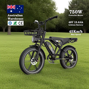 Bicicleta Eléctrica Híbrida X9 750W para Australia, 48V, 20 Pulgadas, Neumáticos Anchos, Fatbike, Disponible en Australia, Envío Directo - Product Image 3