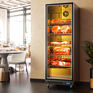 Volledig uitgeruste 316L 1-deurs koelkast met constante temperatuur, hoge esthetische waarde, commercieel gebruik voor rundvlees & vis - Product Image 2