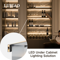 Solution d'éclairage pour étagères d'hôtel, bibliothèques, armoires à vin – Lampe LED minimaliste à montage arrière, éclairage d'ambiance YB1036-43