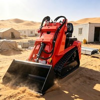 Mini-chargeuse compacte avec rapport d'inspection complet et rapport de test de la machinerie pour garantir des performances de machine stables