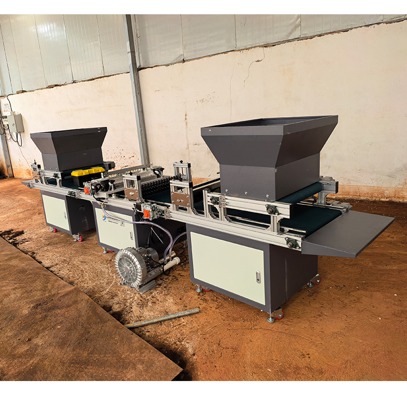 Fully Automatic Vegetable Greenhouse Seedling Raising