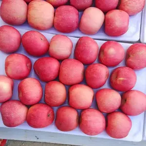 2023 Nieuwe Oogst Vers Rood Appelfruit Verse Fuji Appel Fabrieksprijs Groothandel Verse Appelleverancier