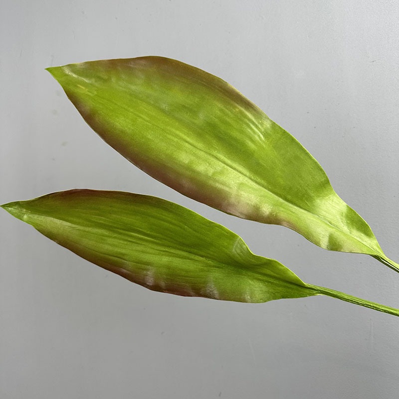 Small Brown Edge