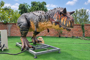 Maßgefertigtes Hochrealistisches Carnotaurus-Modell Halloween-Dekoration Outdoor Animatronisches Servo-Modell für Museumsausstellungen - Product Image 5