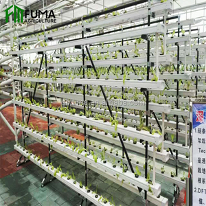 Torre Aeropónica Vertical para Cultivo Interior en Balcón, con Diseño de Fresa, Flor y Piña, 288 Orificios, Sistemas de Cultivo Hidropónico con Luz LED - Product Image 5