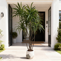 Plante artificielle de yucca en plastique de qualité supérieure, bonsaï réaliste, faux arbre durable, résistant aux UV, écologique, décoration d'intérieur