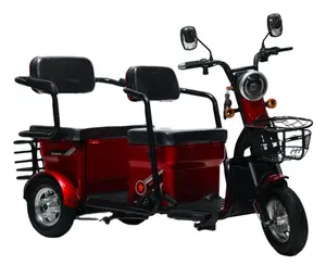 Hot Sale 48V 3 Wheel Electric Bike Tricycle Electric Pedicab Cargo Electric Bike From China Supplier