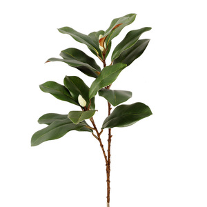 Ramas de Magnolia Simuladas con Dos Hojas Divididas, Alta Simulación, Decoración del Hogar, Arreglo Floral, Planta en Maceta - Product Image 5