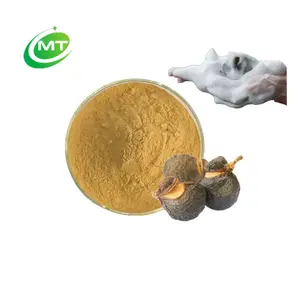 مصنع توريد عالية الجودة لرغوة مستخلص صابونيت 40% - 70% سابونينز جنوب الهند مستخلص صابونيت سابوندوس