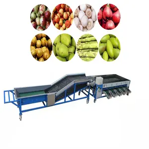 Commercial Orange Drum Sorting Machine Stainless Steel Grader Adjustable Potato Sorting Machine