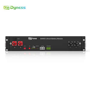 Dyness B4850 precio de fábrica batería de iones de litio 48V 50ah LiFePO4 Sever rack <span class=keywords><strong>us2000c</strong></span> LiFePO4 sistema de almacenamiento - Product Image 1