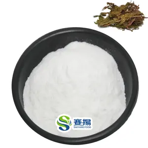 Huperzine A Powder CAS 102518/79-6 meluruskan ekstrak Huperzia Serrata ekstrak 1% 99% huperzine-a
