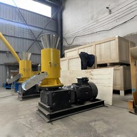 Pelletiseur de biomasse écologique 300 kg/h, machine à granulés de bois électrique triphasée avec boîte de vitesses longue durée pour le marché africain