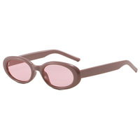 Lunettes de soleil ovales vintage pour femmes, imprimé léopard rétro, style Y2K, monture écaille de tortue, petites lunettes de vue, vente en gros