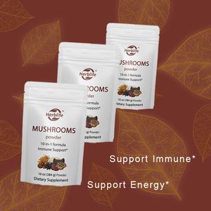 Poudre de champignons biologiques à succès OEM/ODM, formule complexe 10 en 1 pour renforcer le système immunitaire, Chaga, Crinière de lion - Product Image 3