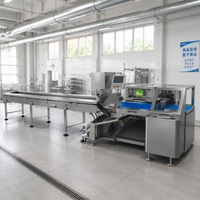 Machine d'emballage horizontale à haute efficacité RHBB830 pour le pain, les biscuits, le chocolat, les bonbons