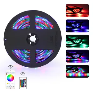 Tira de luces Led RGB 2835 con WIFI, tira de luces de neón de colores para fiesta, Navidad, interior y exterior, 5M