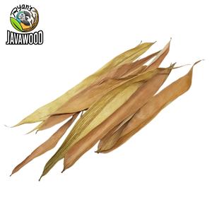 印度尼西亚中爪哇省最好的生物活性干红木、竹子、菠萝蜜、芒果叶，适合在家中的爬行动物笼子或房子 - Product Image 5