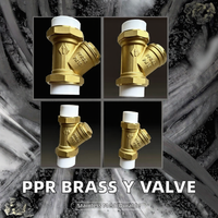 Vanne de filtration en PPR pour radiateur, filtre en Y en cuivre et laiton pour eau