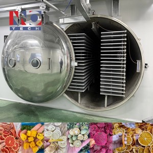 Liofilizador al Vacío <span class=keywords><strong>INNOTECH</strong></span> de Gran Capacidad, 380V 4000KG, para la Conservación de Flores Frescas y Hierbas Aromáticas - Product Image 4