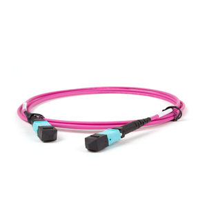 Ai Data Center ใยแก้วนำแสง100G MTP MPO มัลติโหมด OM4<span class=keywords><strong>สาย</strong></span>เคเบิลใยแก้วนำแสง Plenum 12F 40/100G 10M - Product Image 2