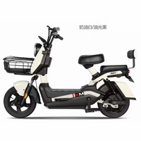 Vélo Électrique Personnalisé OEM ODM avec Logo, 48V 500W, Vélo de Ville pour Adultes, Moteur Brushless, Longue Autonomie, Vélo de Navetteur, Vente en Gros Usine