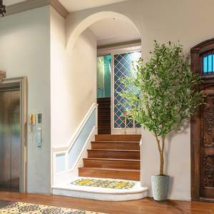 OXLLXO Árbol de Olivo Artificial de 6 Pies (72 Pulgadas) con Maceta de Plástico, Árbol de Seda Artificial con Frutos para Oficina y Hogar - Product Image 6