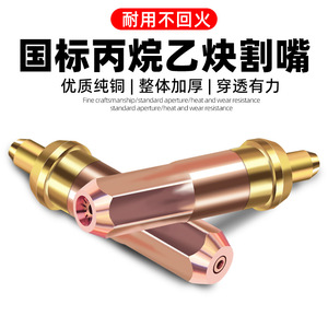 National Standard Cutting Nozzle G01 30 100 300 Oxygen Propane Coal Gas Lpg Acetylene Plum Blossom Ring - Product Image 2
