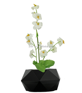 360 Spining Magnetische Levitatie Drijvende Lucht Bonsai Plant Boom Bloempot Voor Bruiloft Cadeau Promotie - Product Image 4
