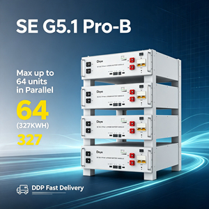แบตเตอรี่ SE-G5.1 Pro-B 51.2V LiFePO4, ชุดแบตเตอรี่ 10 กิโลวัตต์ชั่วโมง 20 กิโลวัตต์ชั่วโมง 500 แอมป์ชั่วโมง, ระบบกักเก็บพลังงานแสงอาทิตย์แรงดันสูง - Product Image 1