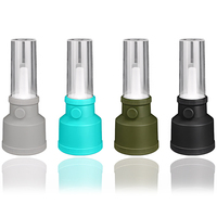 Lampe de camping LED rechargeable à intensité variable, portable, charge USB Type-C, lampe torche 4 couleurs pour le camping