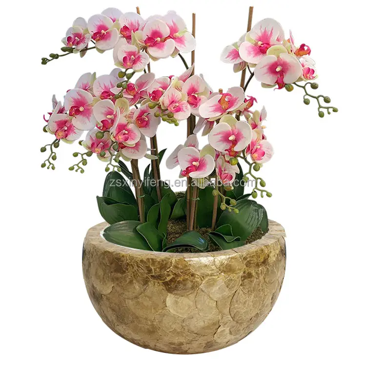 Table Decoration Household Bowl Shape Gold Hand-made Sea Shell Fiberglass Flower Vase Orchid Pot