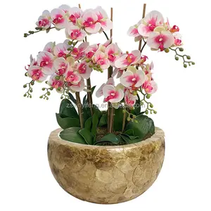 Tafel Decoratie Huishouden Kom Vorm Gouden Hand-Made Zee Shell Glasvezel Bloemenvaas Orchidee Pot