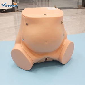 Manichino per Addestramento Ostetrico Completo, Modello di Simulazione del Parto per l'Insegnamento della Ostetricia CE/ISO/ROHS/CNAS - Product Image 2