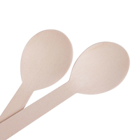 Cuillère jetable en bois de bouleau en vrac de haute qualité Couverts biodégradables compostables écologiques plus grands