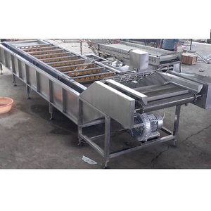 Macchina Automatica per la Pulizia di Verdure a Bolle Lavatrice per Frutta e Verdura per Uso Industriale - Product Image 3