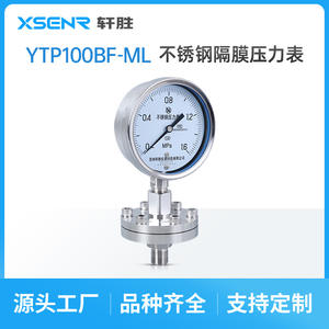 Suzhou Ytp 100bf Diaphragm Pressure Gauge Stainless Steel 100mm Threaded Anti Clogging - Product Image 5